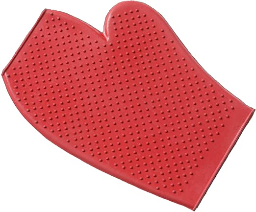 Rubber Grooming Mitt