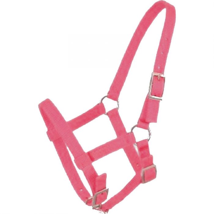Adjustable Nylon Halter ~ Suckling Foal or Small Mini Size ~ Pink