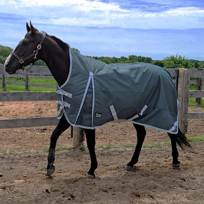 Fenway Mid-Neck Rain Sheet