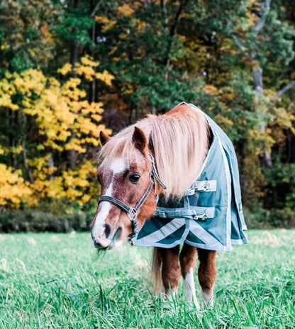 Fenway Mid-Neck Rain Sheet