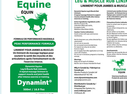 Dynamint Leg & Muscle Rub | 500ml